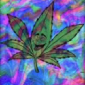 Meet your Posher, Alexander